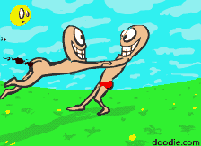 basoca une new arme 2008